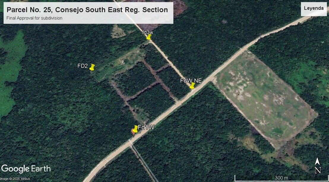 Close aerial view of the subdivision parcels