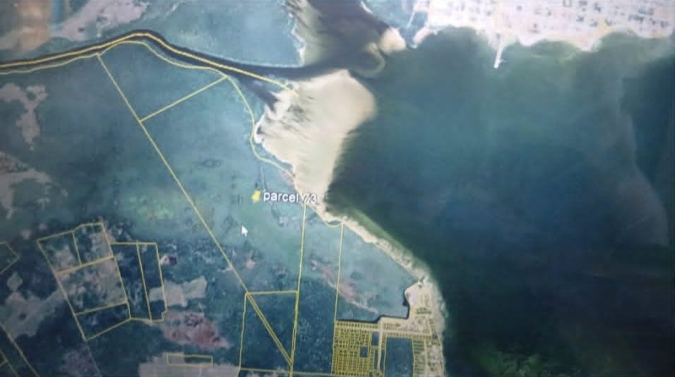 Satellite view of the Consejo Road S.W. land near the coast
